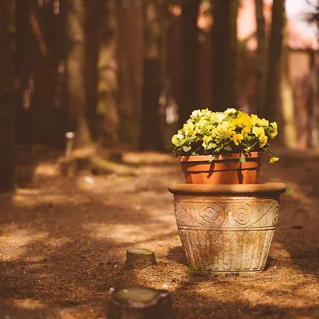 Młynarzowy Dworek * Gdynia