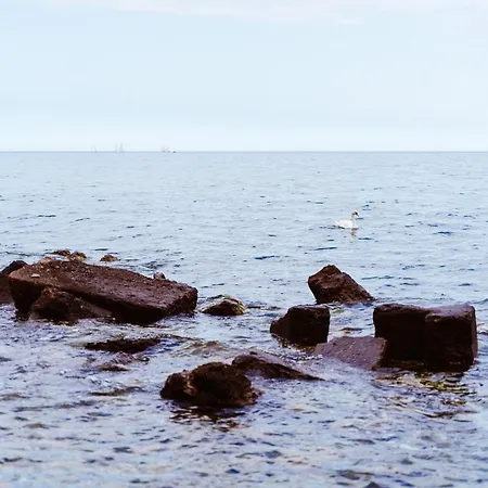 Apartment Mlynarzowy Dworek