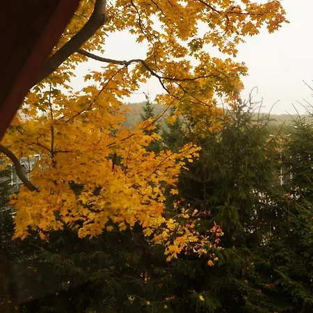 Mlynarzowy Dworek Appartamento Gdynia