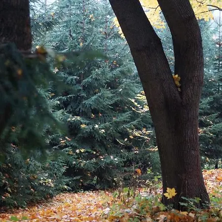 Mlynarzowy Dworek Apartment *