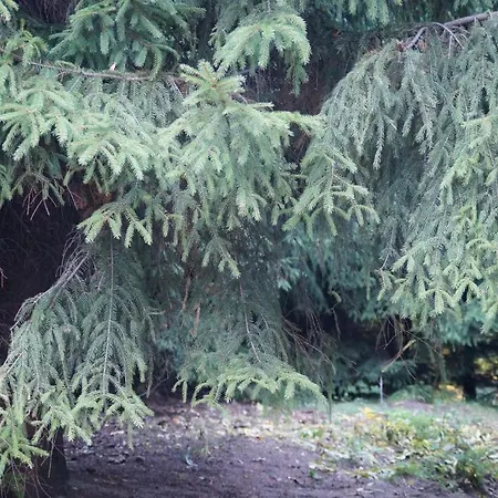 Młynarzowy Dworek Gdynia