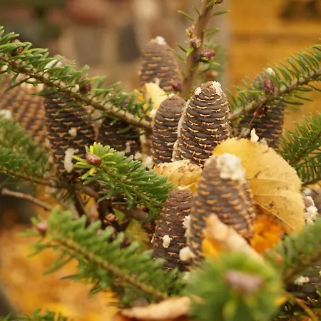 Appartamento Mlynarzowy Dworek