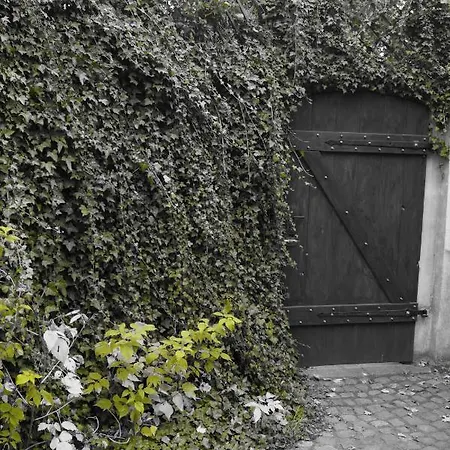 Apartment Mlynarzowy Dworek *