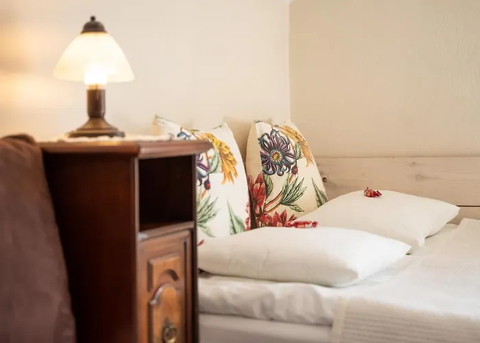 Mlynarzowy Dworek דירה *