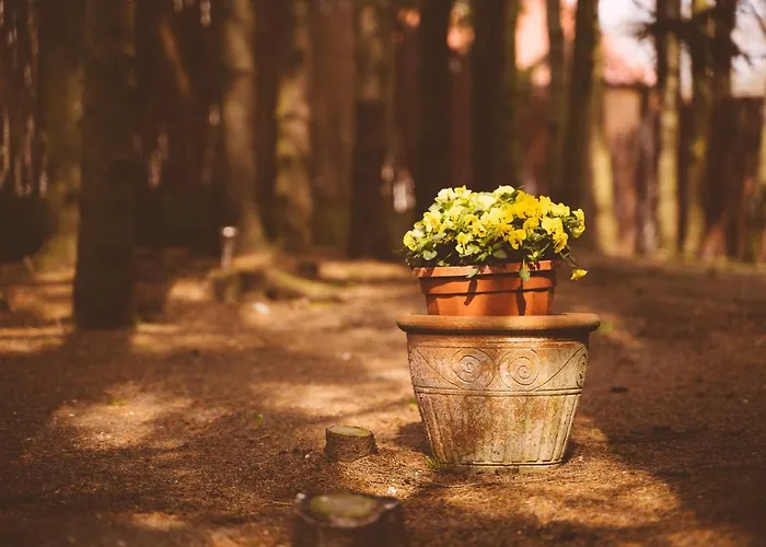 Mlynarzowy Dworek * Gdynia