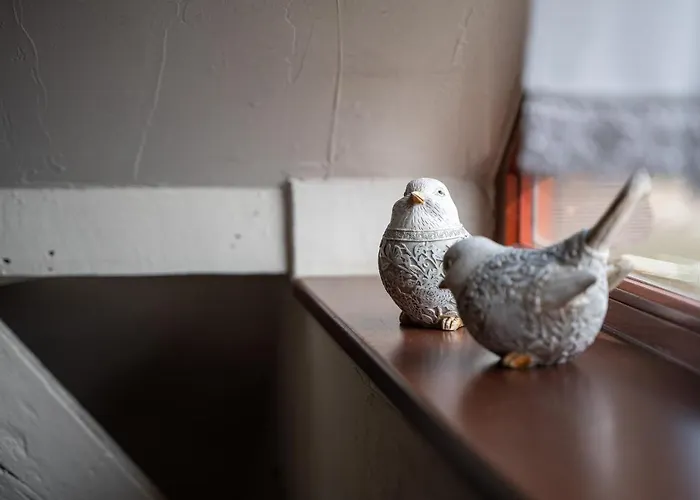 Mlynarzowy Dworek Appartement *