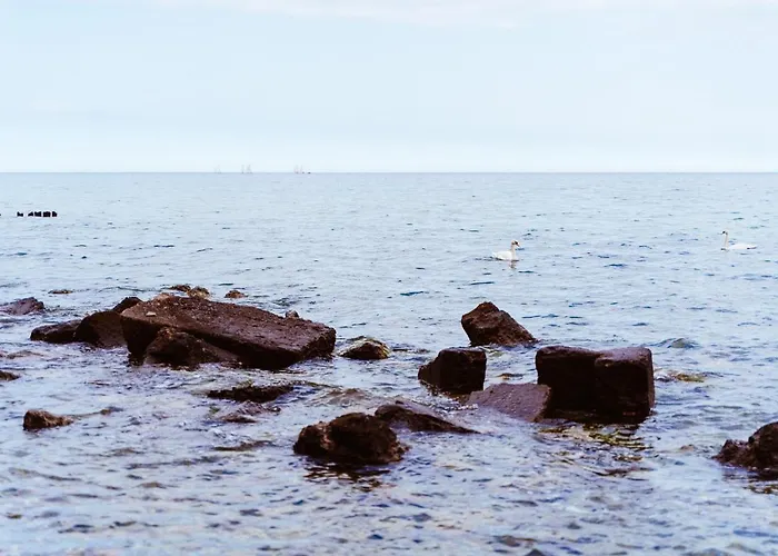 דירה Mlynarzowy Dworek