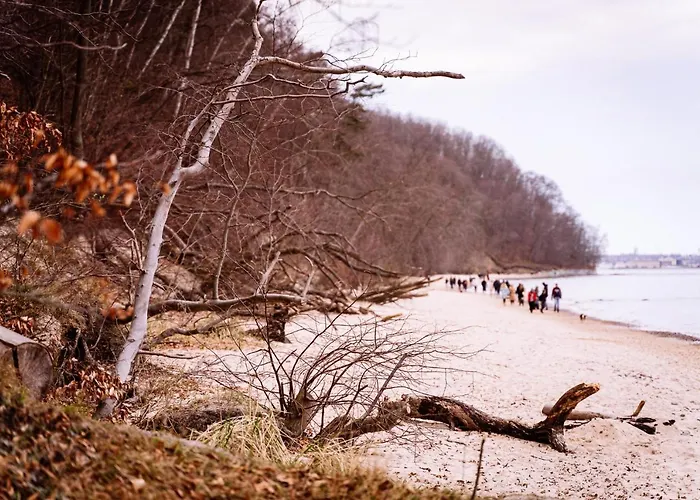 Mlynarzowy Dworek Appartement *