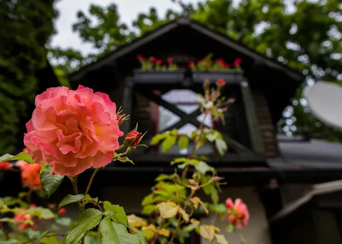 Mlynarzowy Dworek * גדינייה