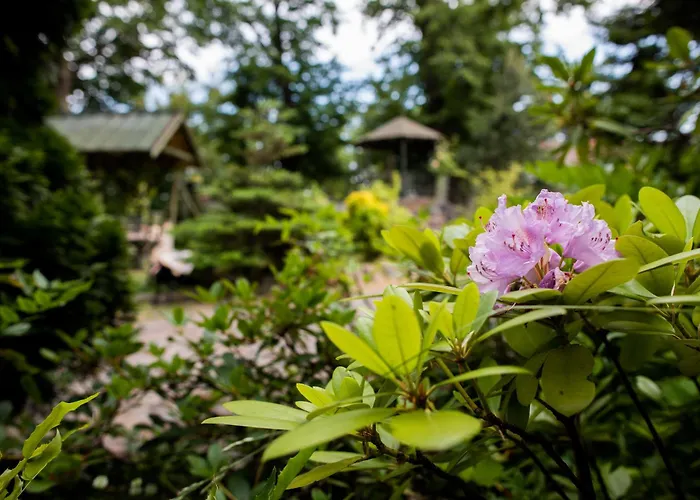 דירה Mlynarzowy Dworek *