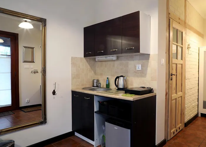 Mlynarzowy Dworek Appartement *