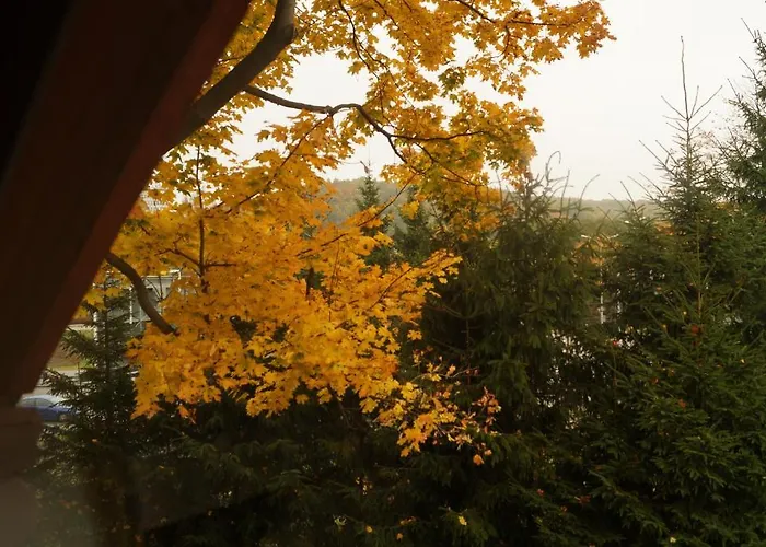 Mlynarzowy Dworek Appartement Gdynia