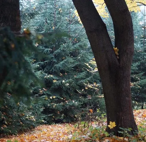 Mlynarzowy Dworek Appartement *