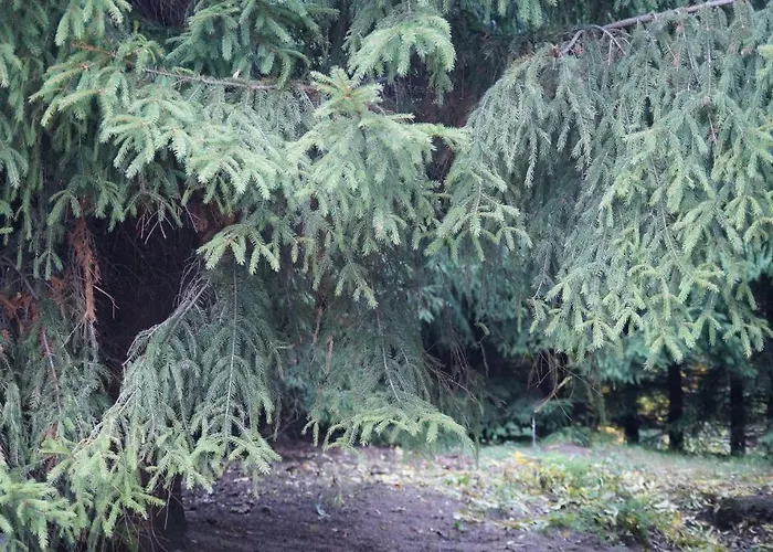 Mlynarzowy Dworek Gdynia