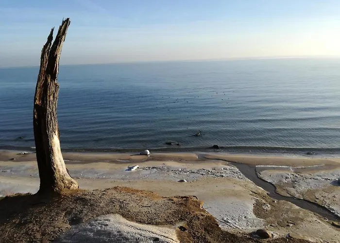 דירה Mlynarzowy Dworek גדינייה